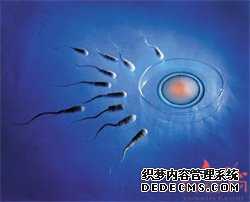 广州专业供卵试管收费_广州借卵生子多少钱_假性怀孕
